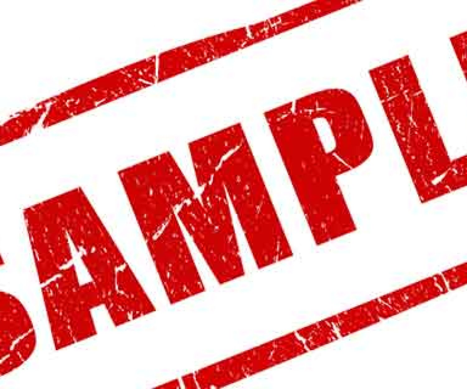 Sample movie and TV show pitch form