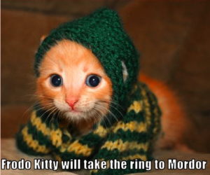 Frodo Kitty